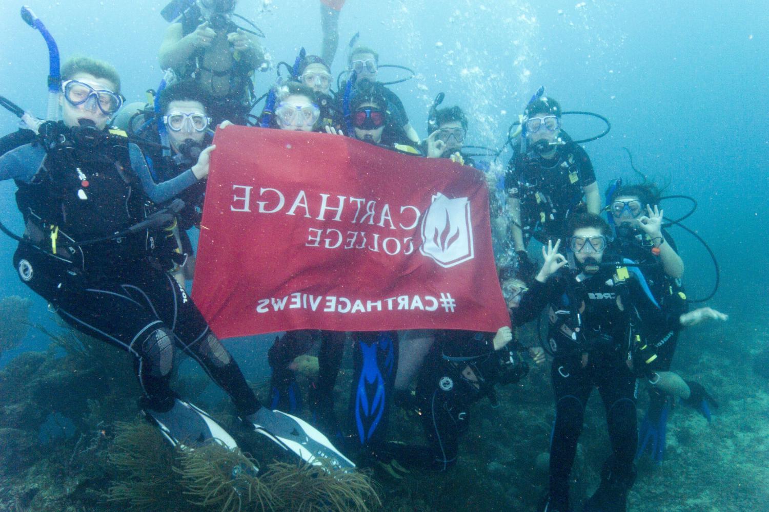 学生们手持<a href='http://qjvu.ngskmc-eis.net'>bv伟德ios下载</a>旗帜，在j学期洪都拉斯游学之旅中潜水.
